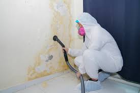 Environmental Consulting for Mold Prevention in Pilot Point, TX